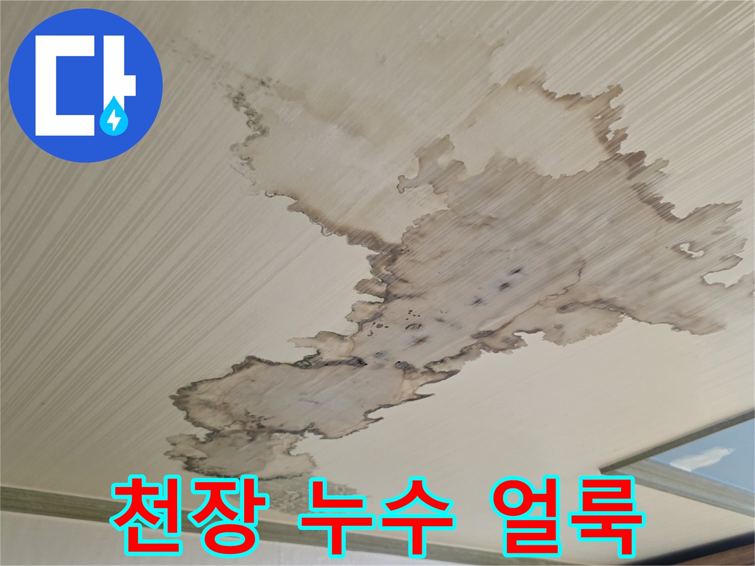 성북구-정릉동-아파트-천장-물-얼룩-상태