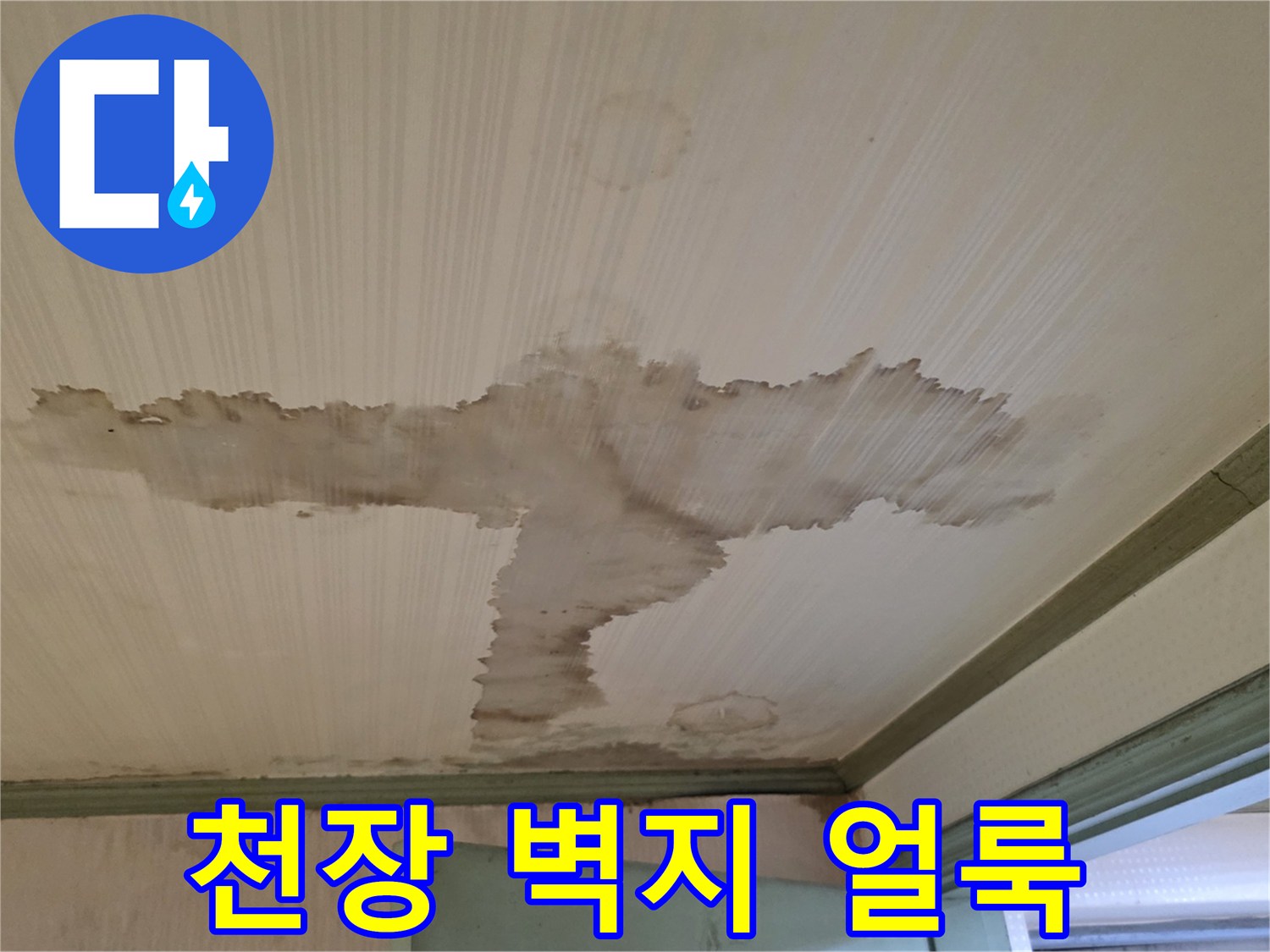 천장 내부 - 물이 스며들어 변색된 천장 부위