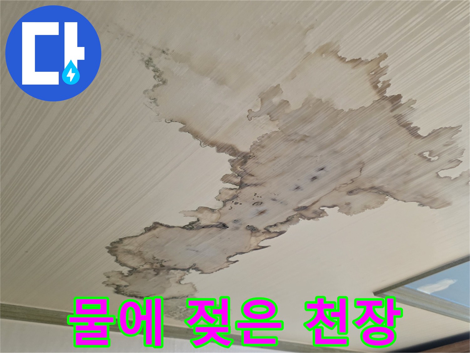 천장에 발생한 광범위한 수분 침투 및 얼룩 현상