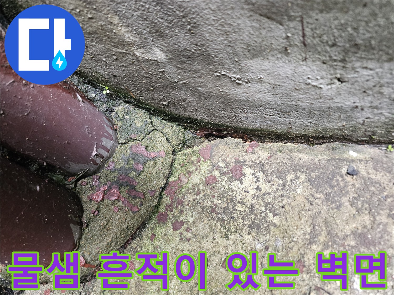 습기로 인해 변색된-콘크리트 균열 부위