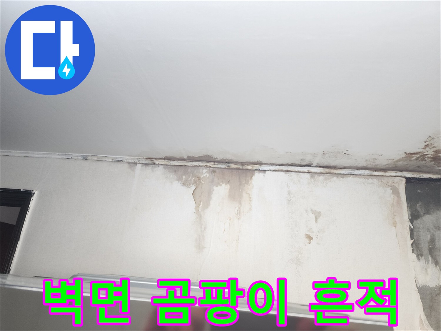 물샘으로 인한-천장 페인트 들뜸과 곰팡이 오염