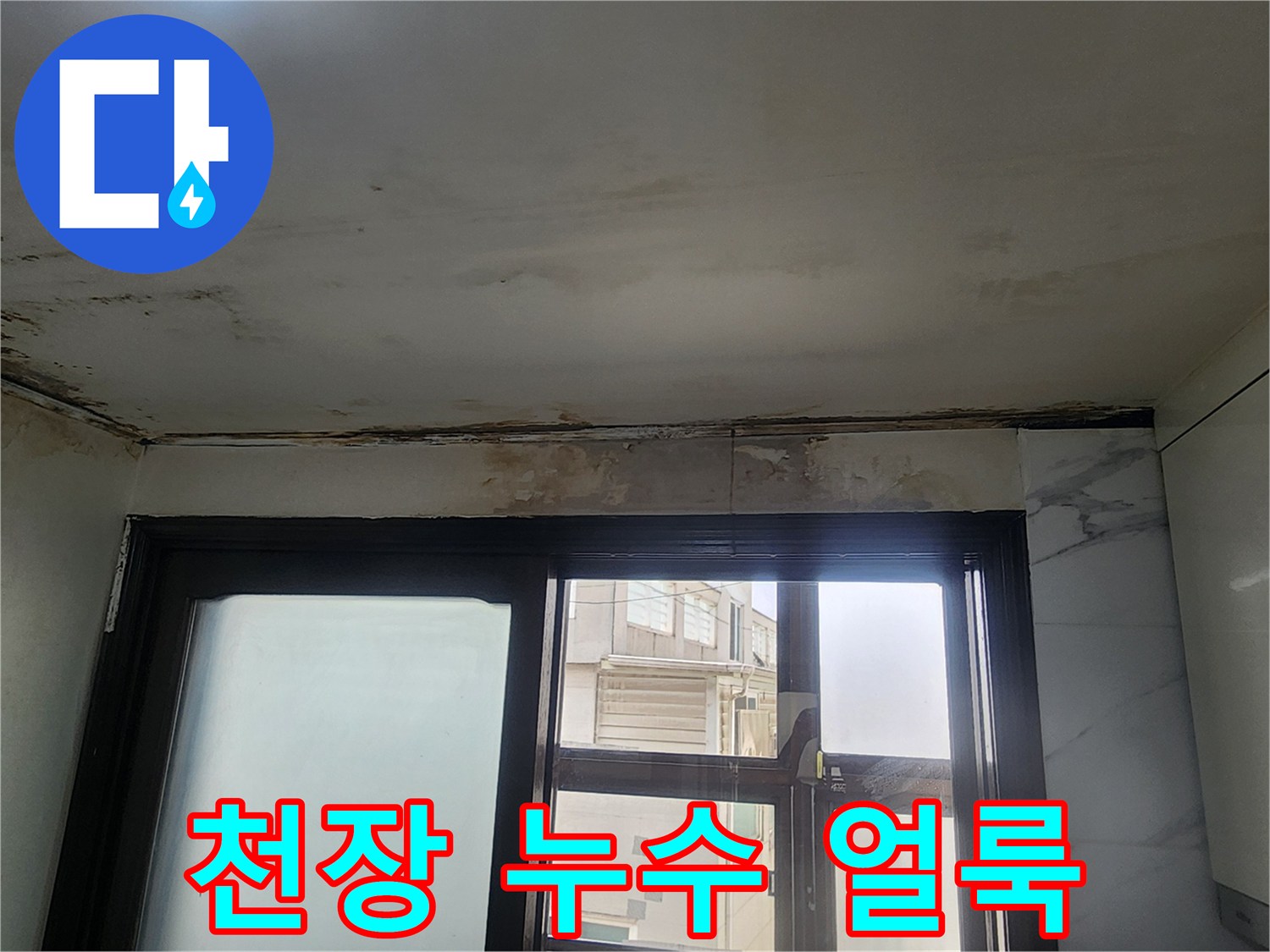 습기로 인해 변색되고 곰팡이가 핀 천장