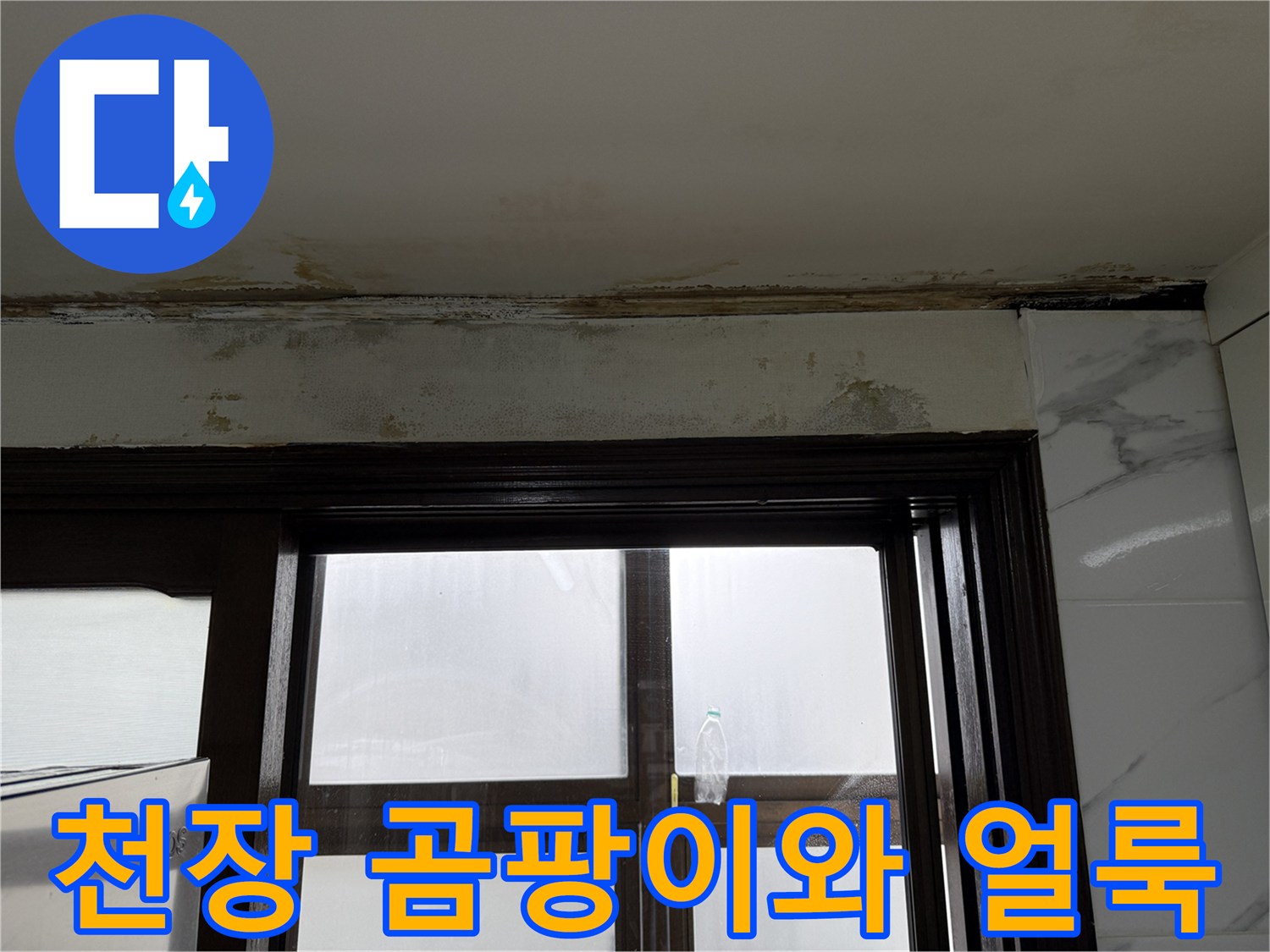 주방 천장 가장자리-심하게 변색된 얼룩과 곰팡이