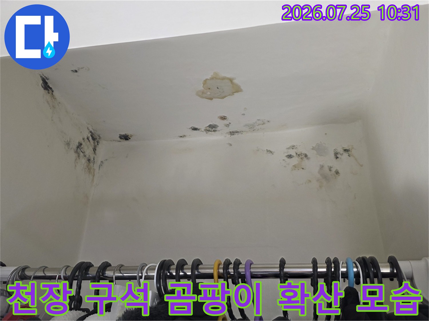 흰색 천장 벽면 구석에 넓게 퍼진 검은색 누수 곰팡이-얼룩