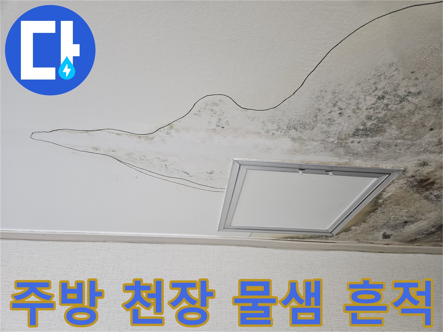 검은 곰팡이와 습기로 얼룩진 주방 천장 내부 상황