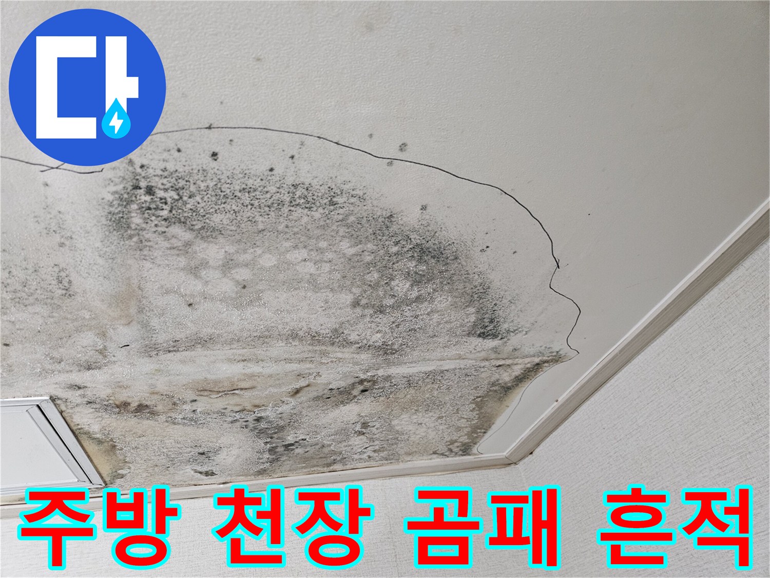 당진 읍내동 아파트 - 주방 천장에 퍼진 검은 곰팡이와 습기 얼룩