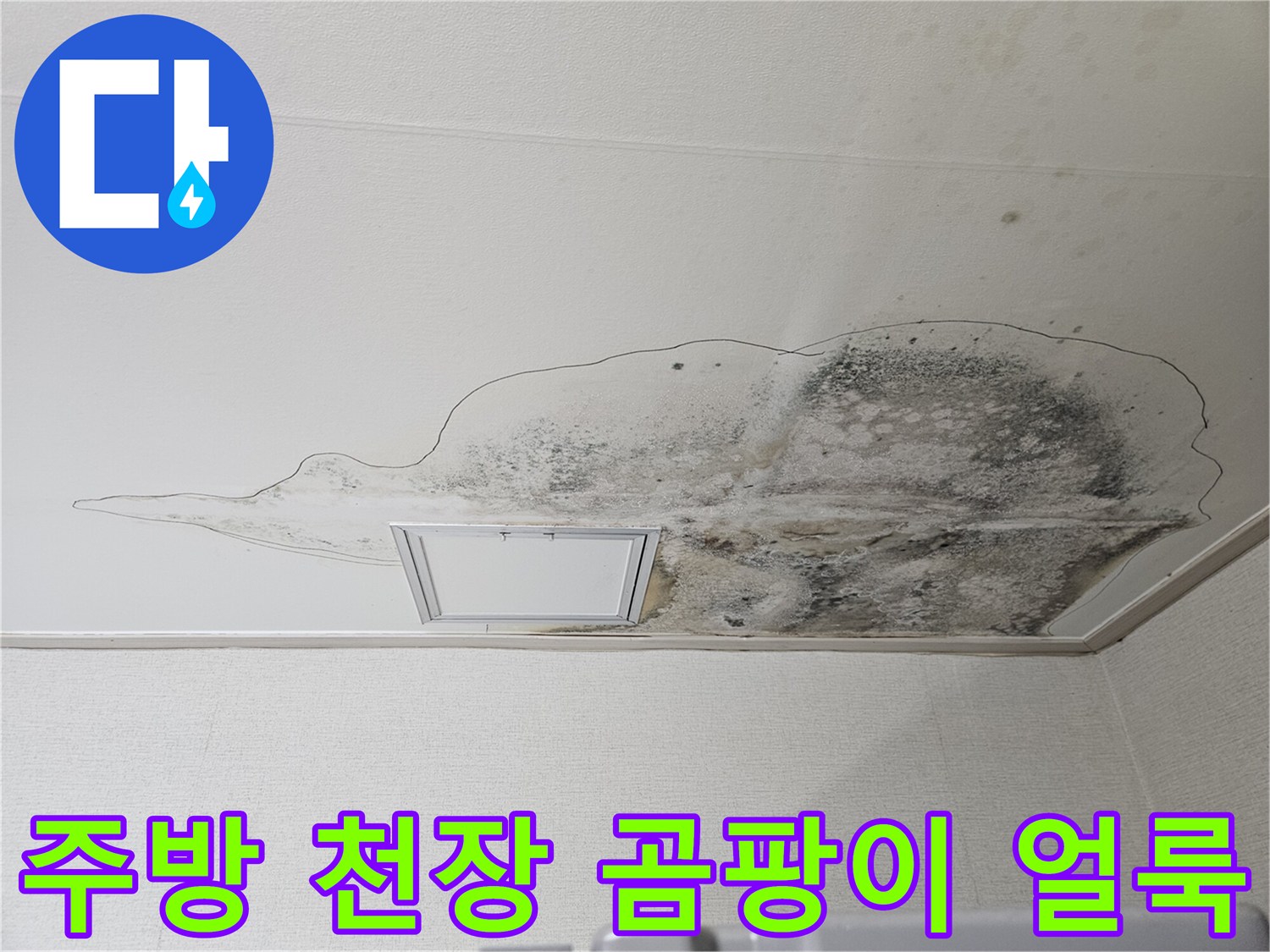 당진 읍내동 주방 천장에 퍼진 심각한 곰팡이와 물자국 상태