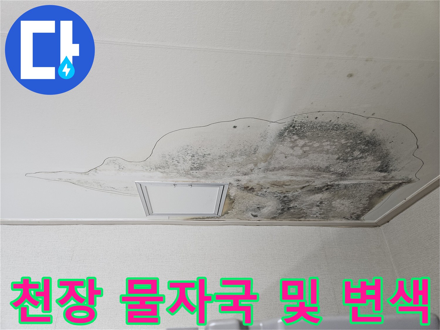 물 흐른 자국을 따라 발생한 천장 곰팡이와 얼룩 사진입니다.