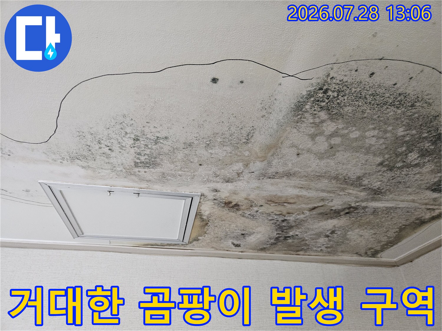 배수관 결함으로 인해 광범위하게 번진 천장의 곰팡이와 오염부위