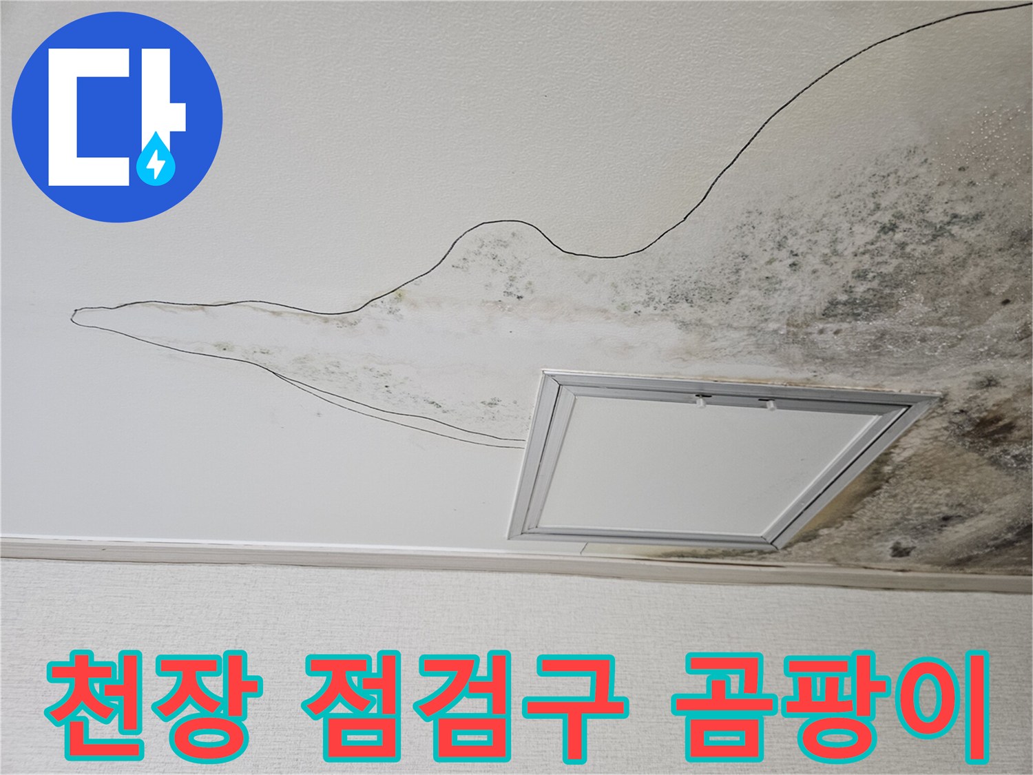 점검구 근처에 집중된 곰팡이와 누수 흔적 사진