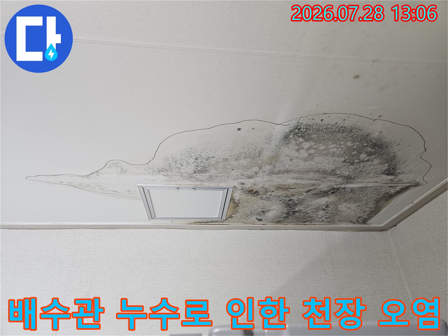 조명 기구 주변의 짙은 누수 흔적과 곰팡이 발생 부위