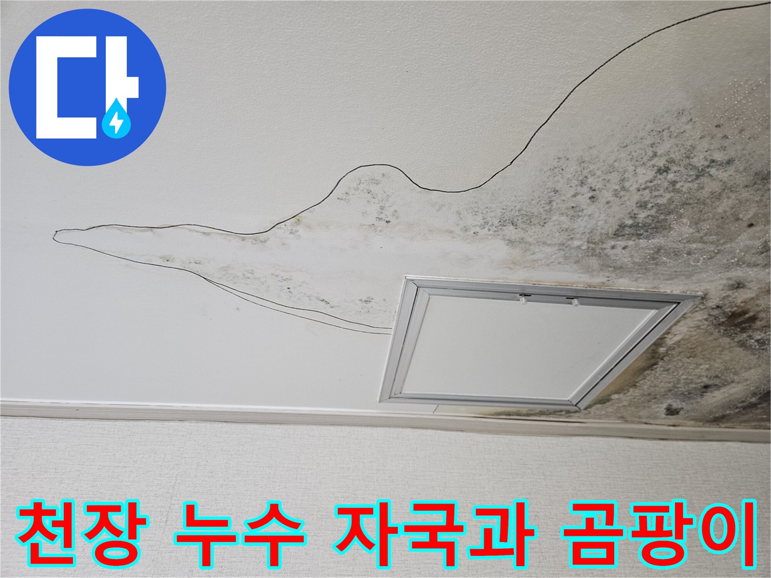 주방 천장 마감재에 발생한 심한 곰팡이와 누수 흔적