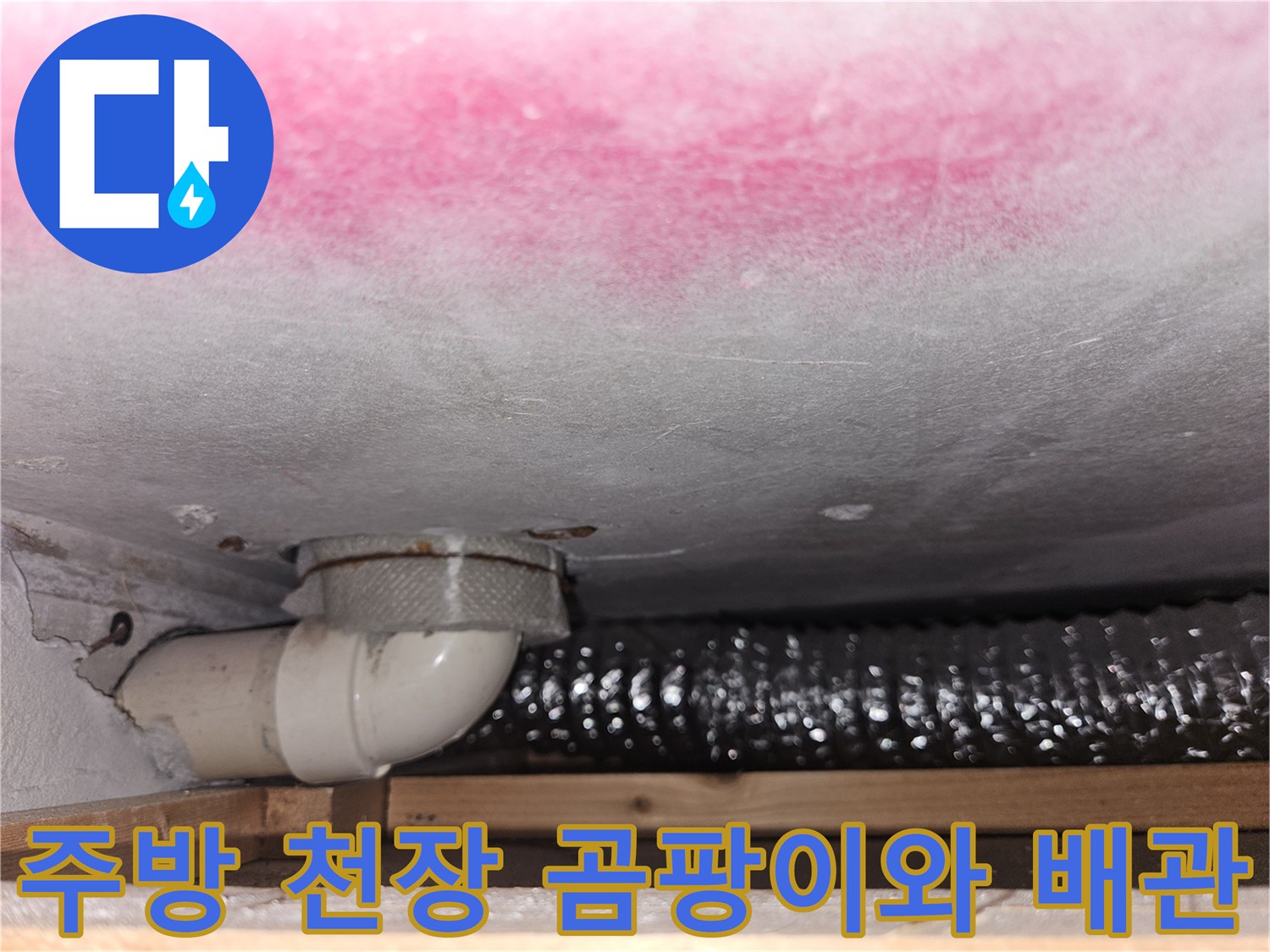 주방-천장-상단에-퍼진-분홍색-곰팡이와-배수-부속품