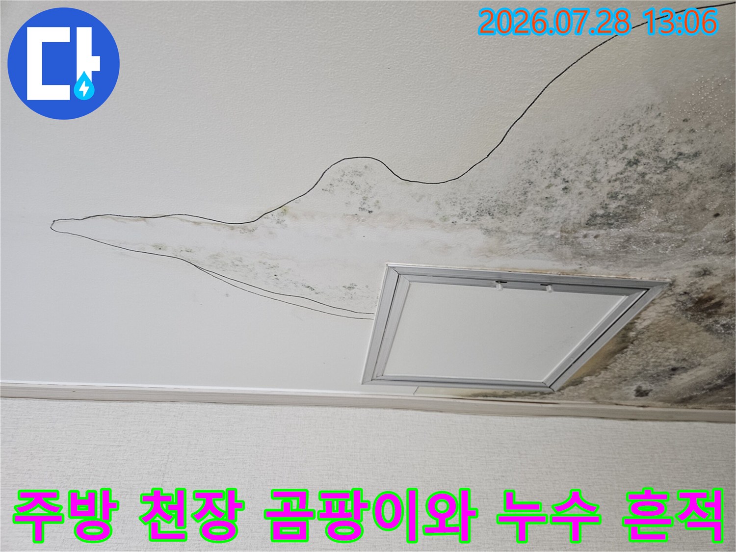 주방 천장 조명 주변에 발생한 광범위한 물샘과 곰팡이 오염 상태