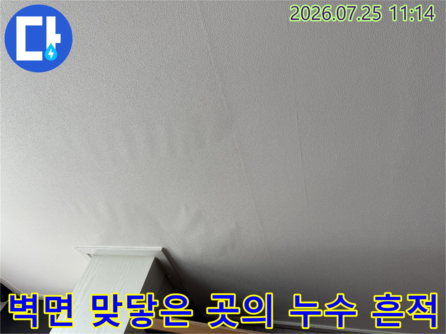 거실 벽체와 천장 경계 부위에 형성된 물자국 및 변색