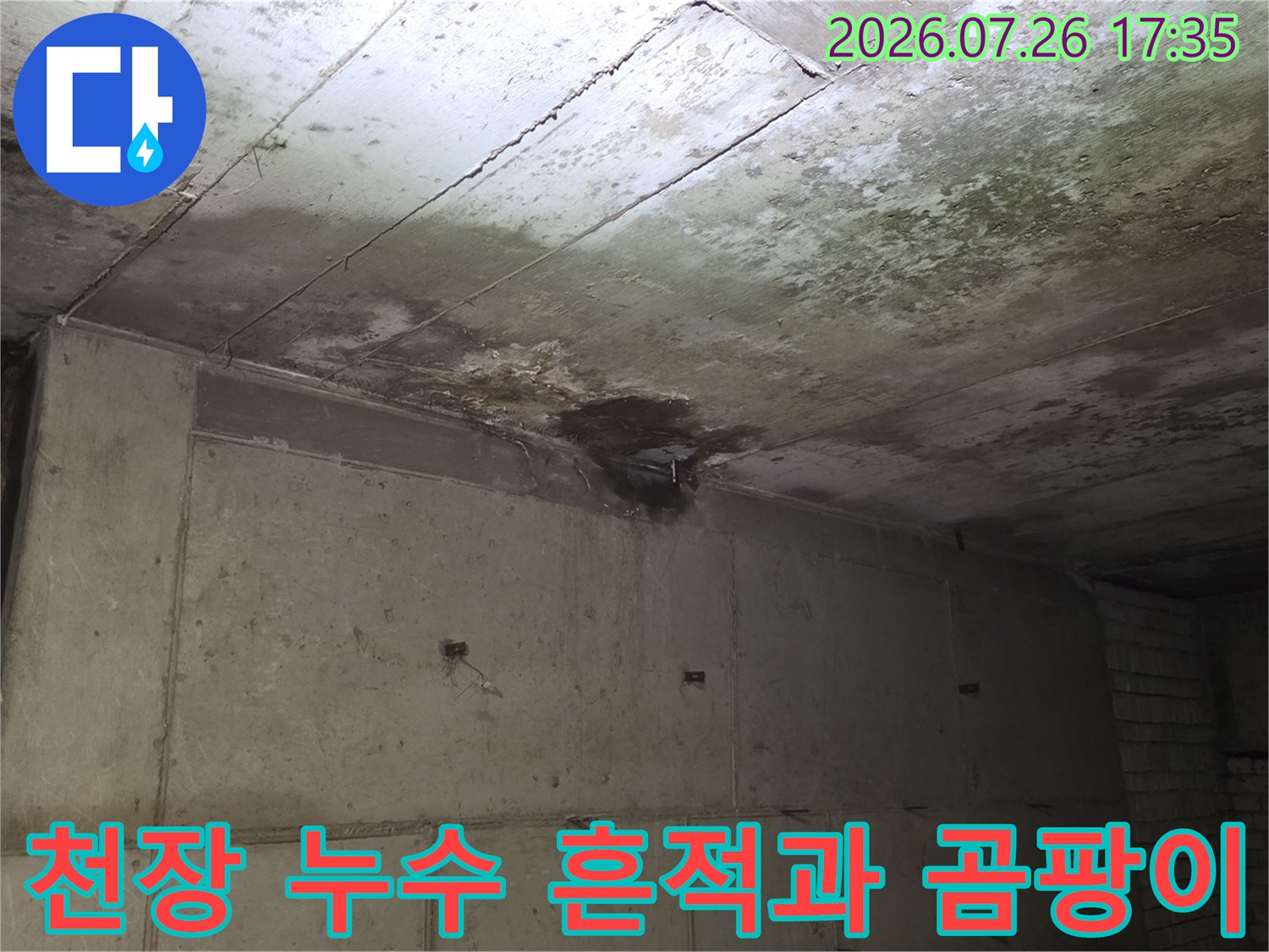 습기로 인해 어둡게 변색되고 곰팡이가 발생한 천장 콘크리트 모습
