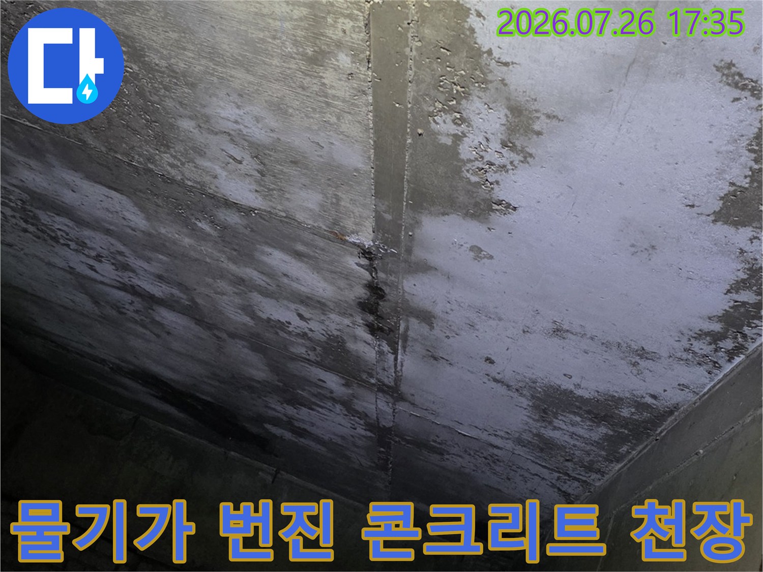 어둡고 눅눅한 분위기의 천장 면에 하얀색 물때와 얼룩이 가득한 모습
