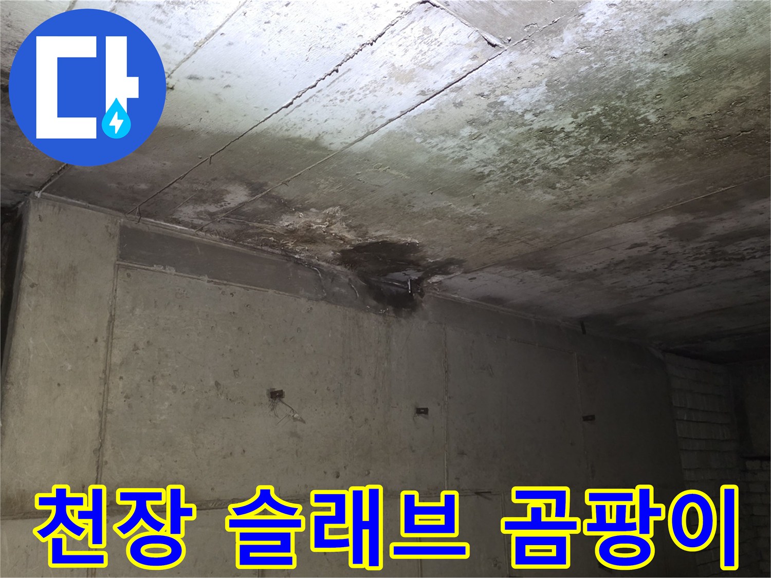 콘크리트 천장 면-물기 침투로 인한 심한 곰팡이와 오염 흔적