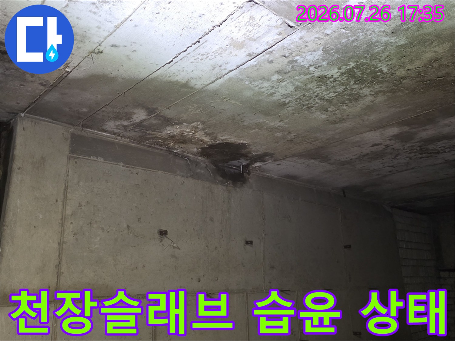 콘크리트 천장에서 물이 새어 나와 곰팡이가 피고 얼룩진 모습