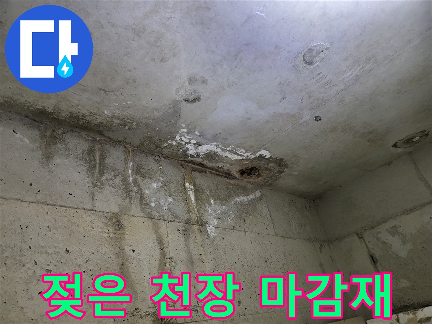 물이 스며들어 얼룩진 화장실 천장 판넬의 모습