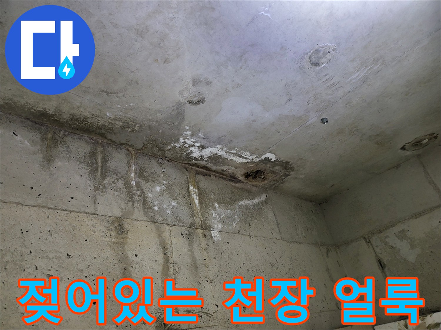 습기로 인해 변색된 화장실 천장 마감재 상태