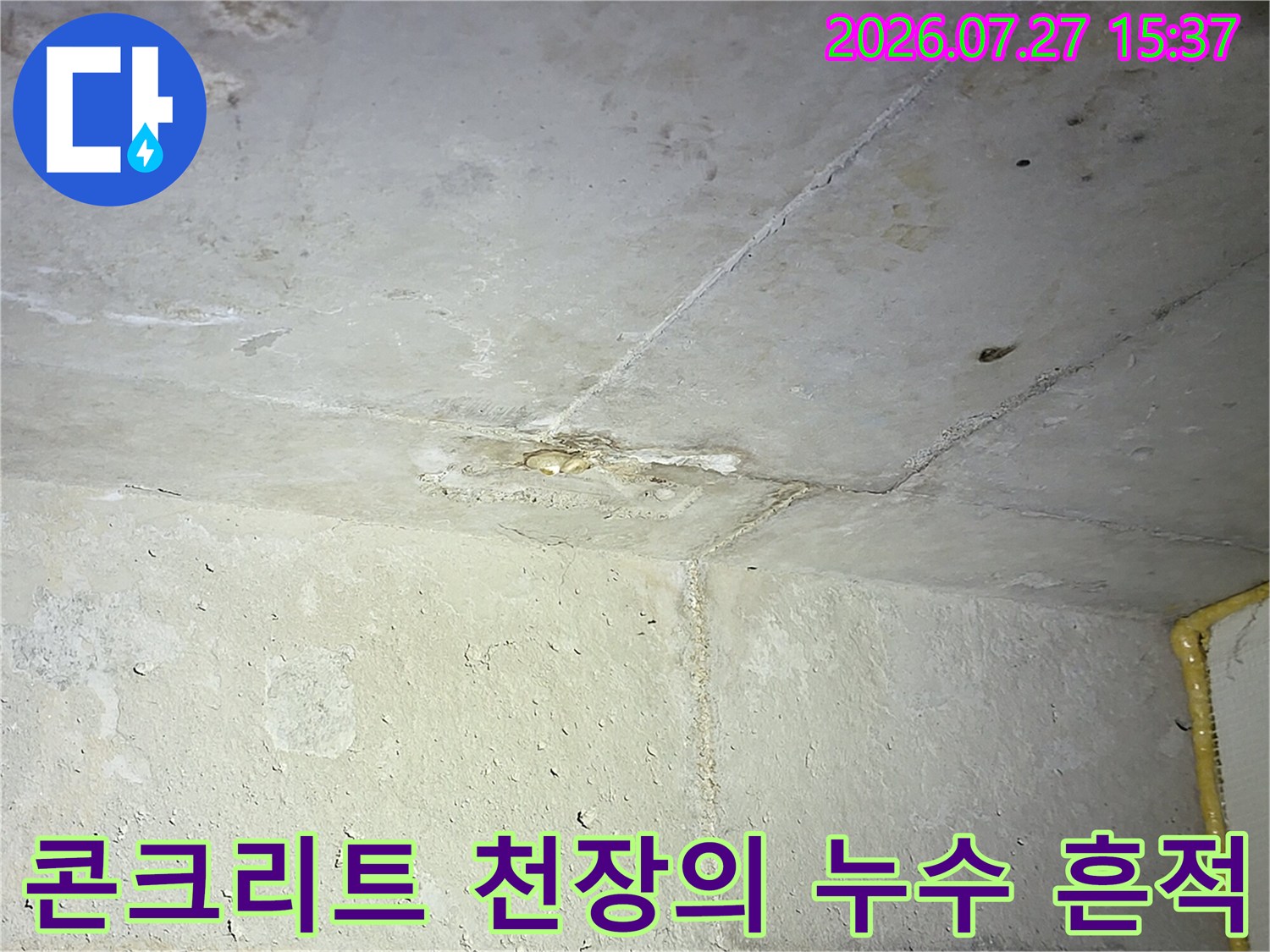 천장 콘크리트 표면에 형성된 불규칙한 물자국-누수가 진행된 경로