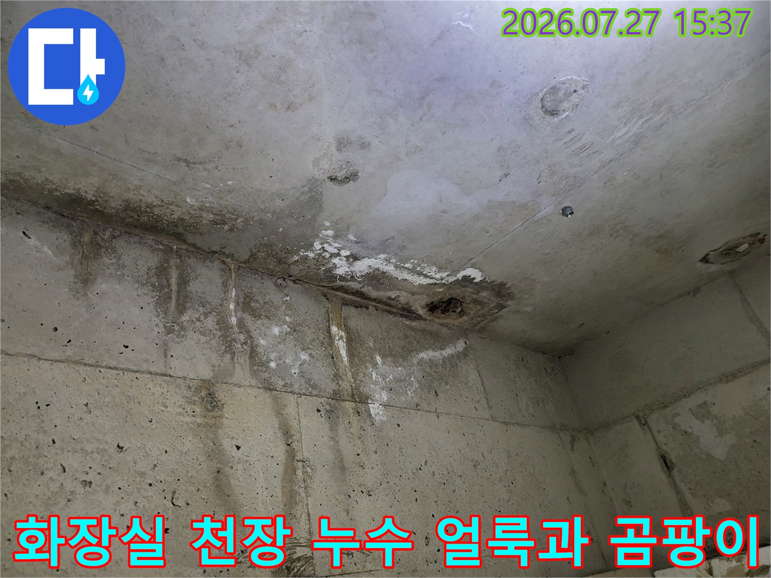 콘크리트 천장에 발생한 심한 물자국-그리고-거뭇한 곰팡이 흔적