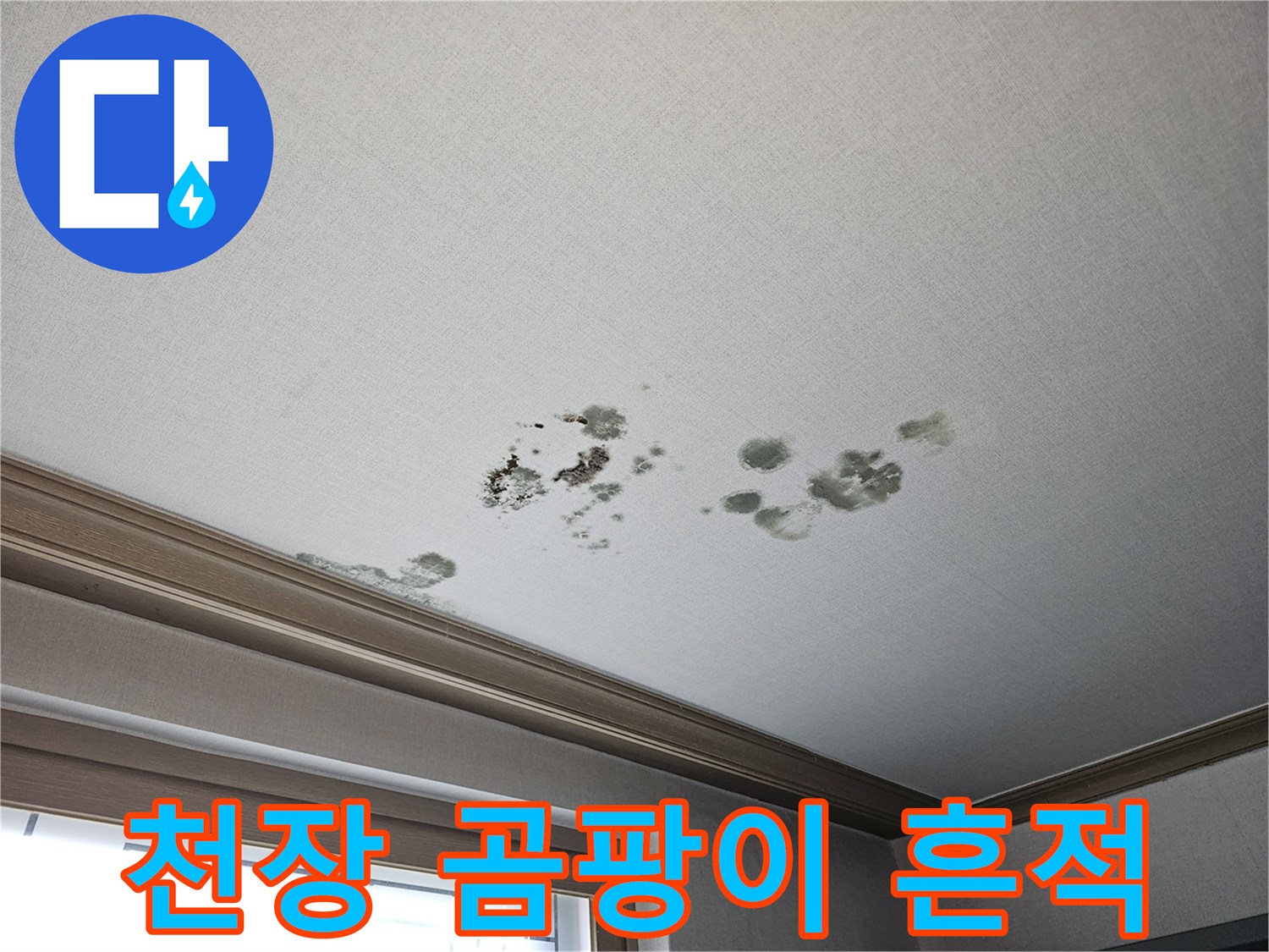 거실 천장 몰딩 아래로 번진 누수 및 곰팡이 오염