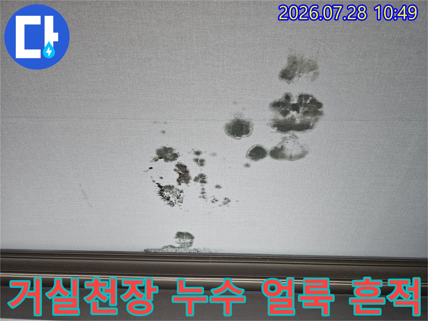 거실 천장에 발생한 짙은 색의 누수 오염 얼룩과 곰팡이 흔적