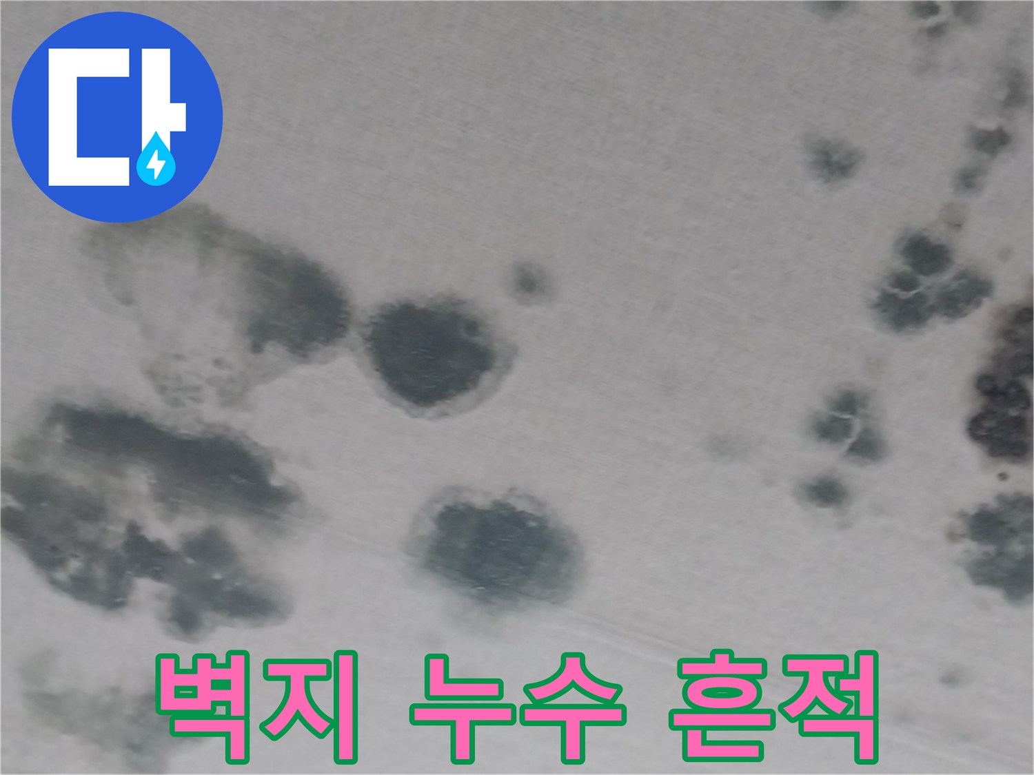 누수로 인해 변색되고 곰팡이가 우려되는 천장 벽지 부위