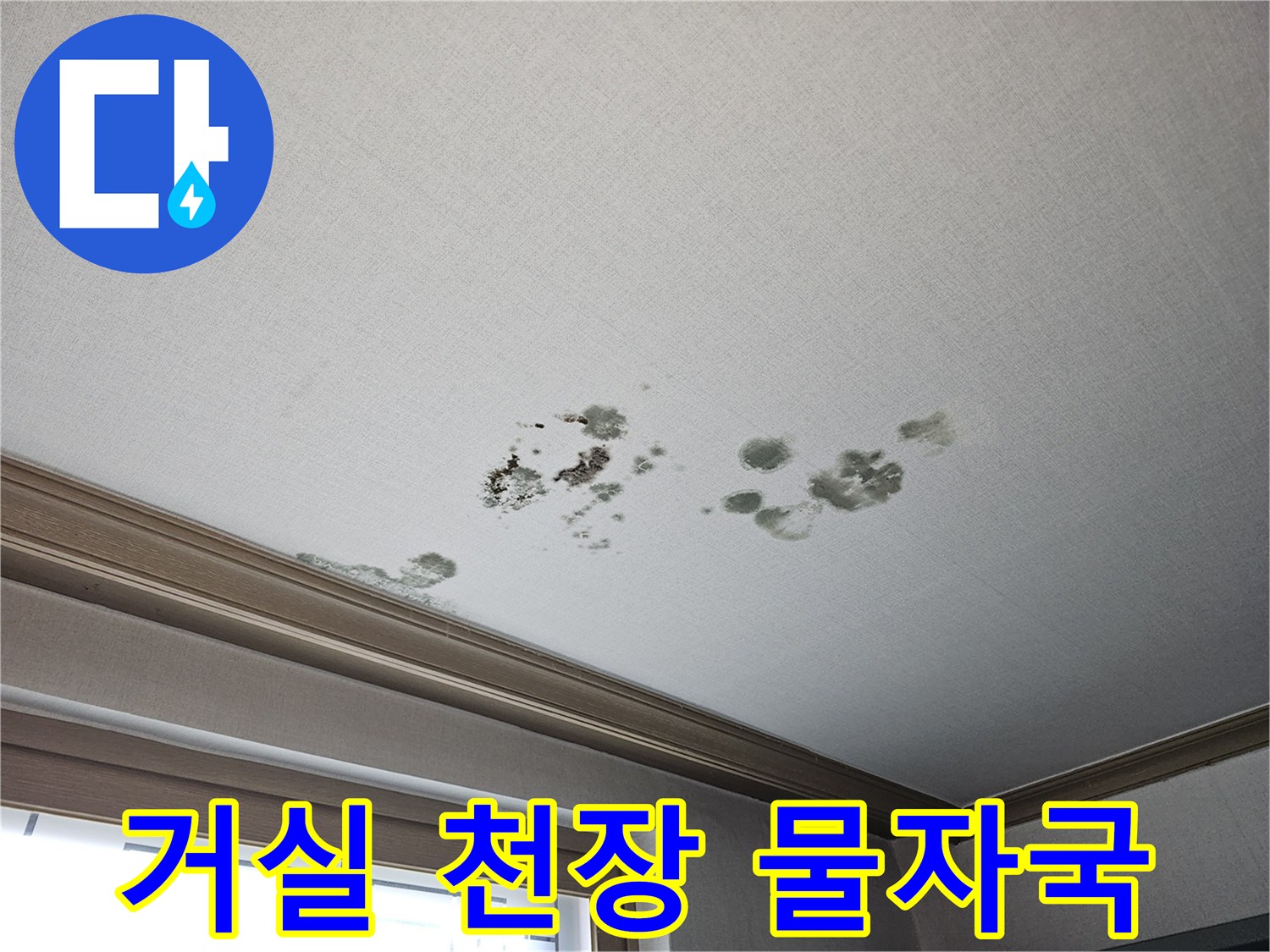 동탄 거실 천장 벽지 내부의 누수 침투 흔적과 곰팡이