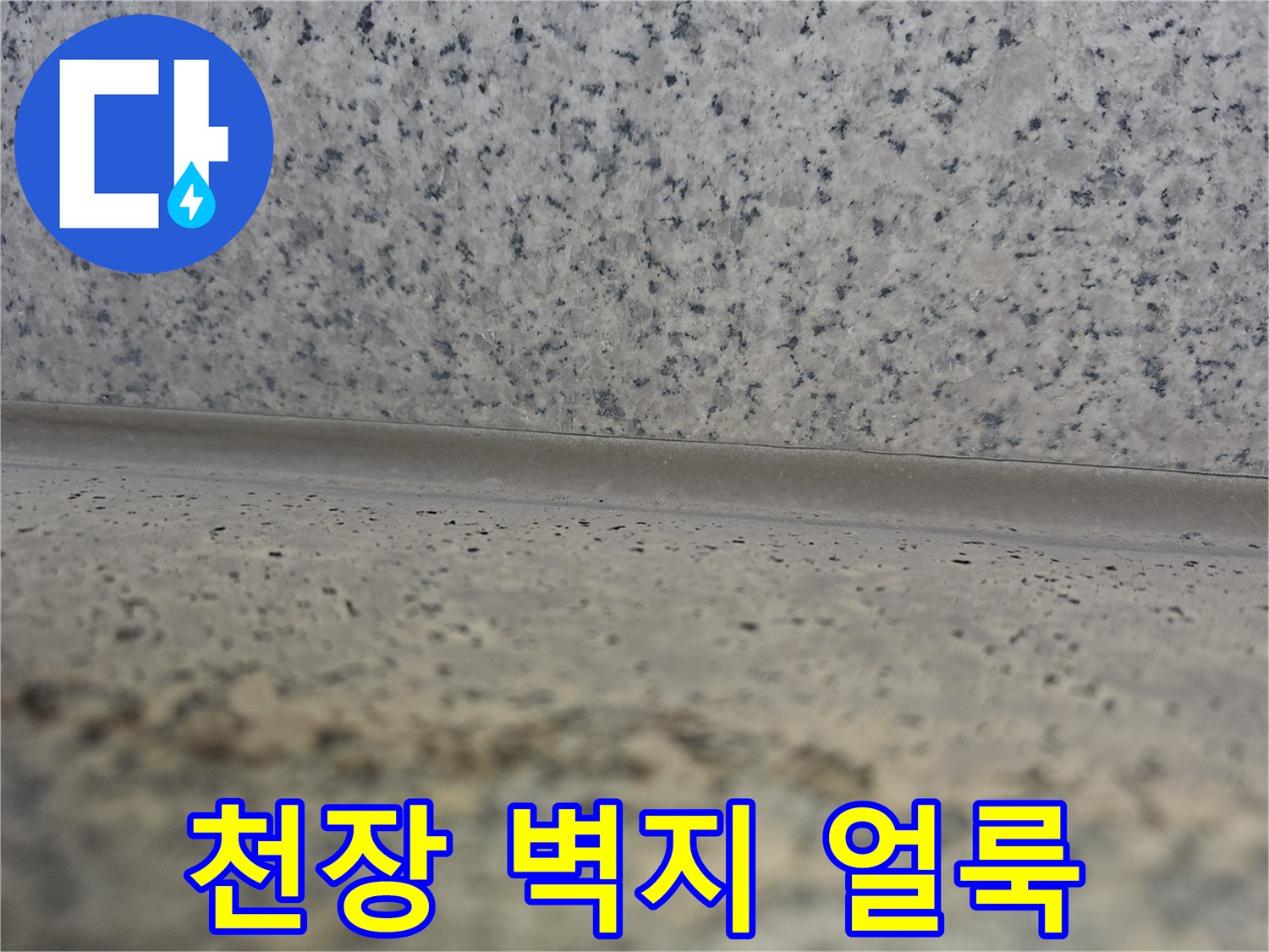 천장 벽면의 짙은 변색과 습기 침투 흔적 - 누수 진단 과정