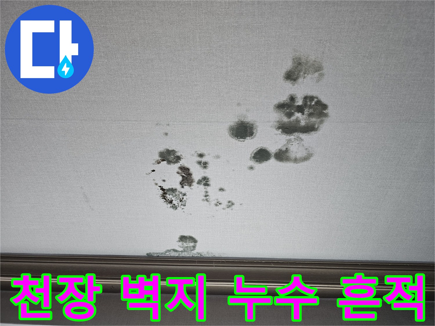 천장 벽지에 나타난 불규칙한 모양의 곰팡이와 물자국 현상