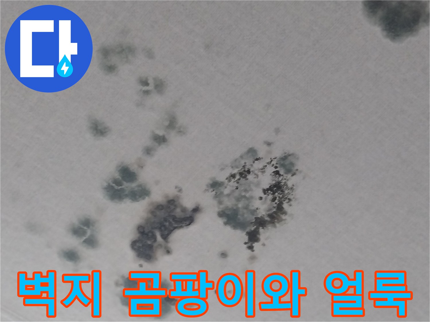 화성 동탄 현장-거실 천장 벽면에 넓게 퍼진 곰팡이 및 누수 오염