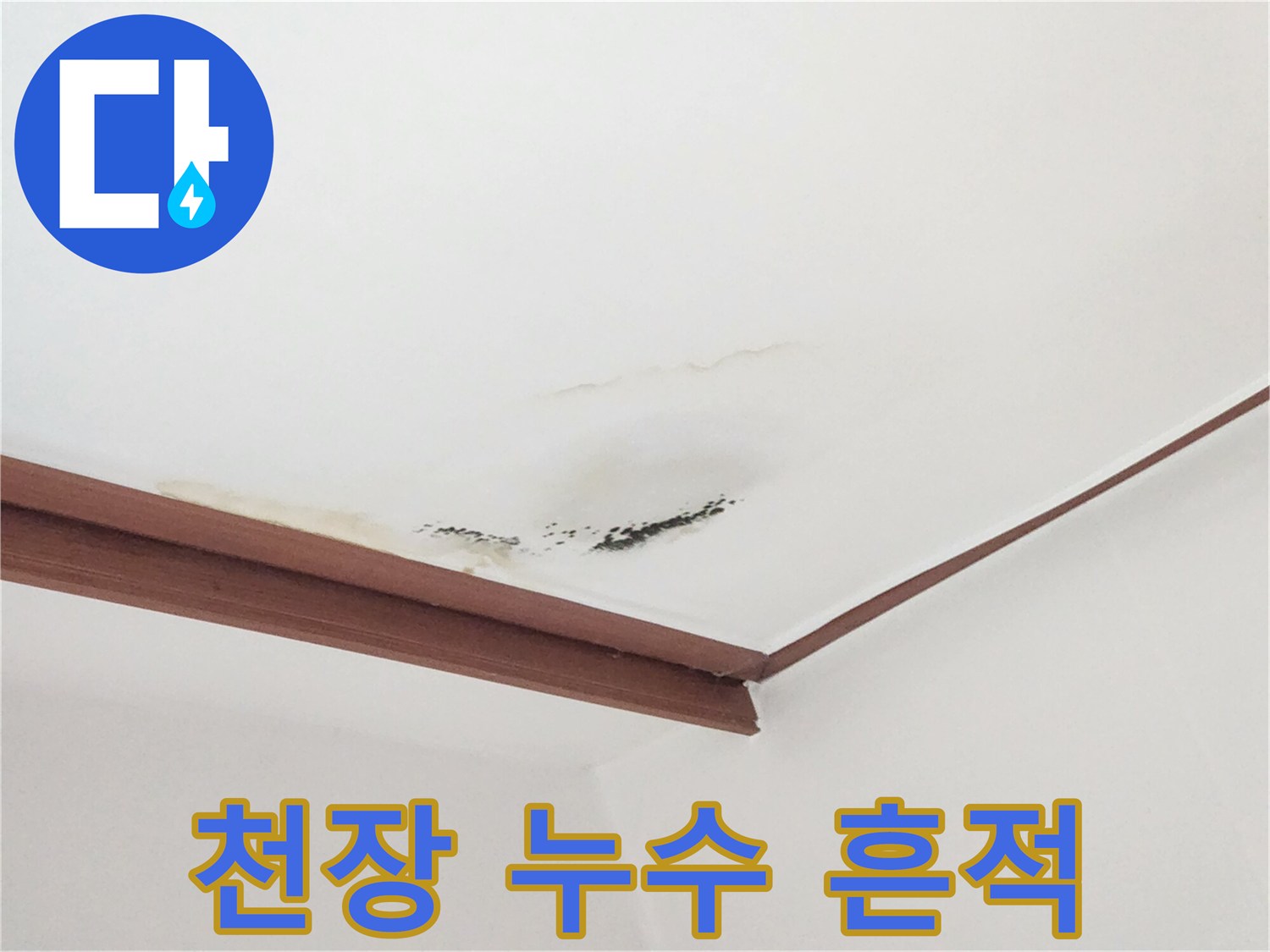 거실 천장 몰딩 부근의 물 얼룩 및 곰팡이
