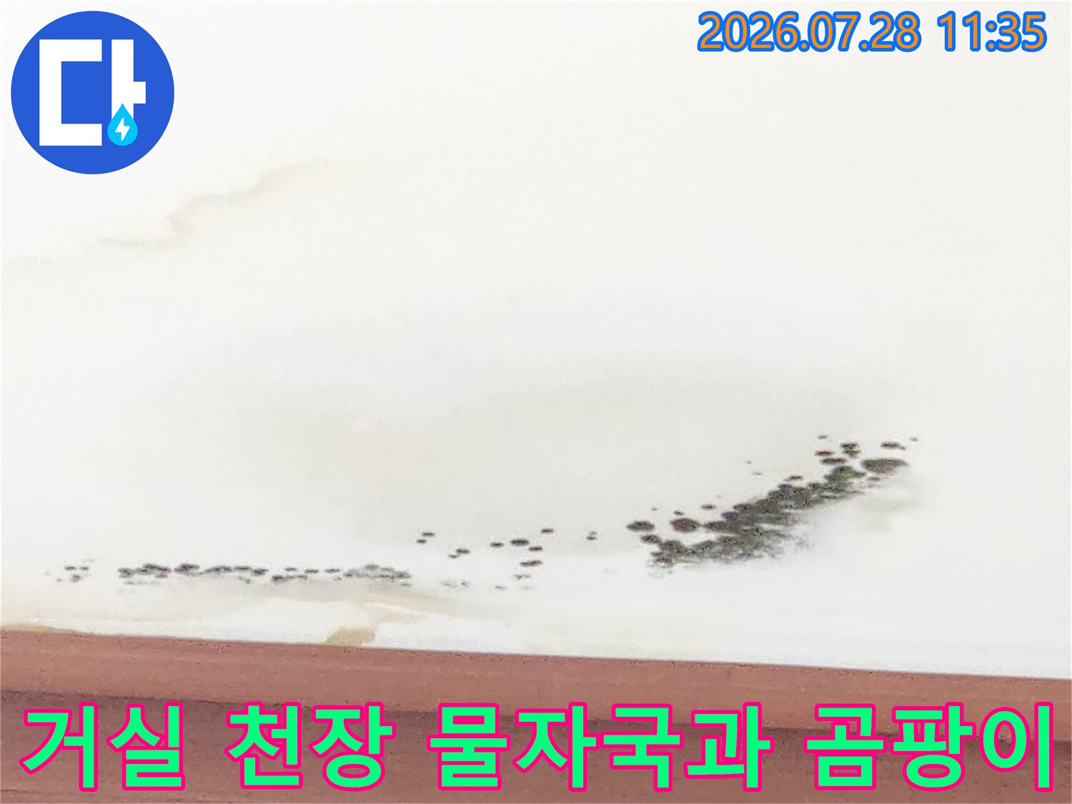 거실 천장에 발생한 검은색 곰팡이와 누수 흔적의 모습