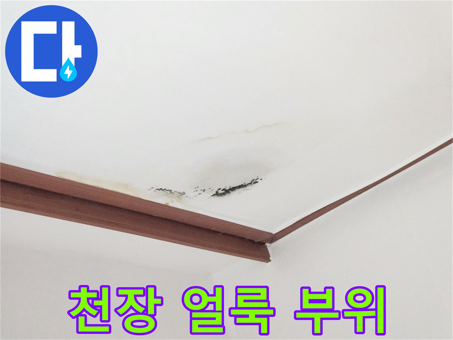물샘으로 인해 생긴 천장의 누런 물자국과 곰팡이