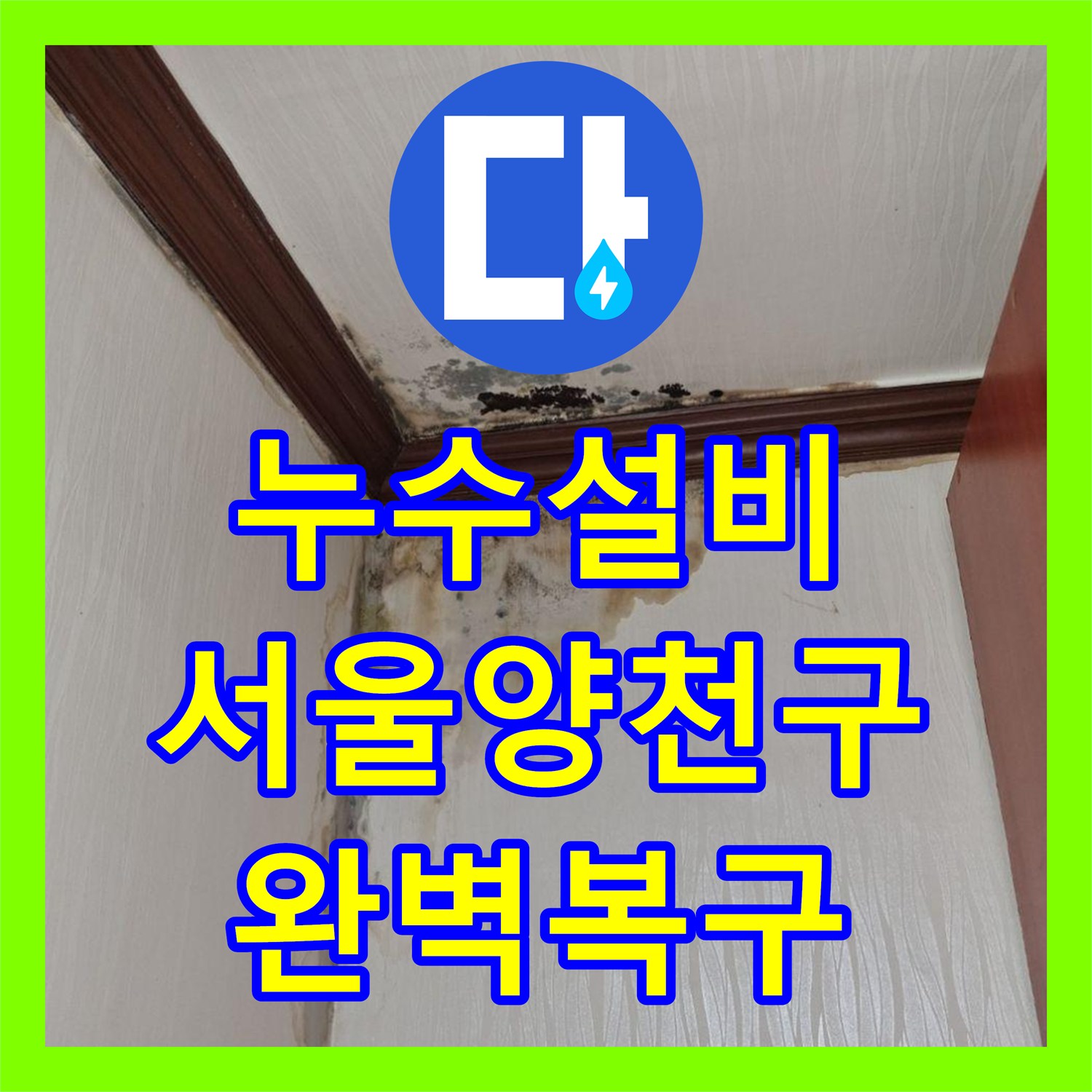 누수설비 천장 내부 방수층 파손으로 인한 물샘과 곰팡이 복구 공사 서울 양천구 신월동
