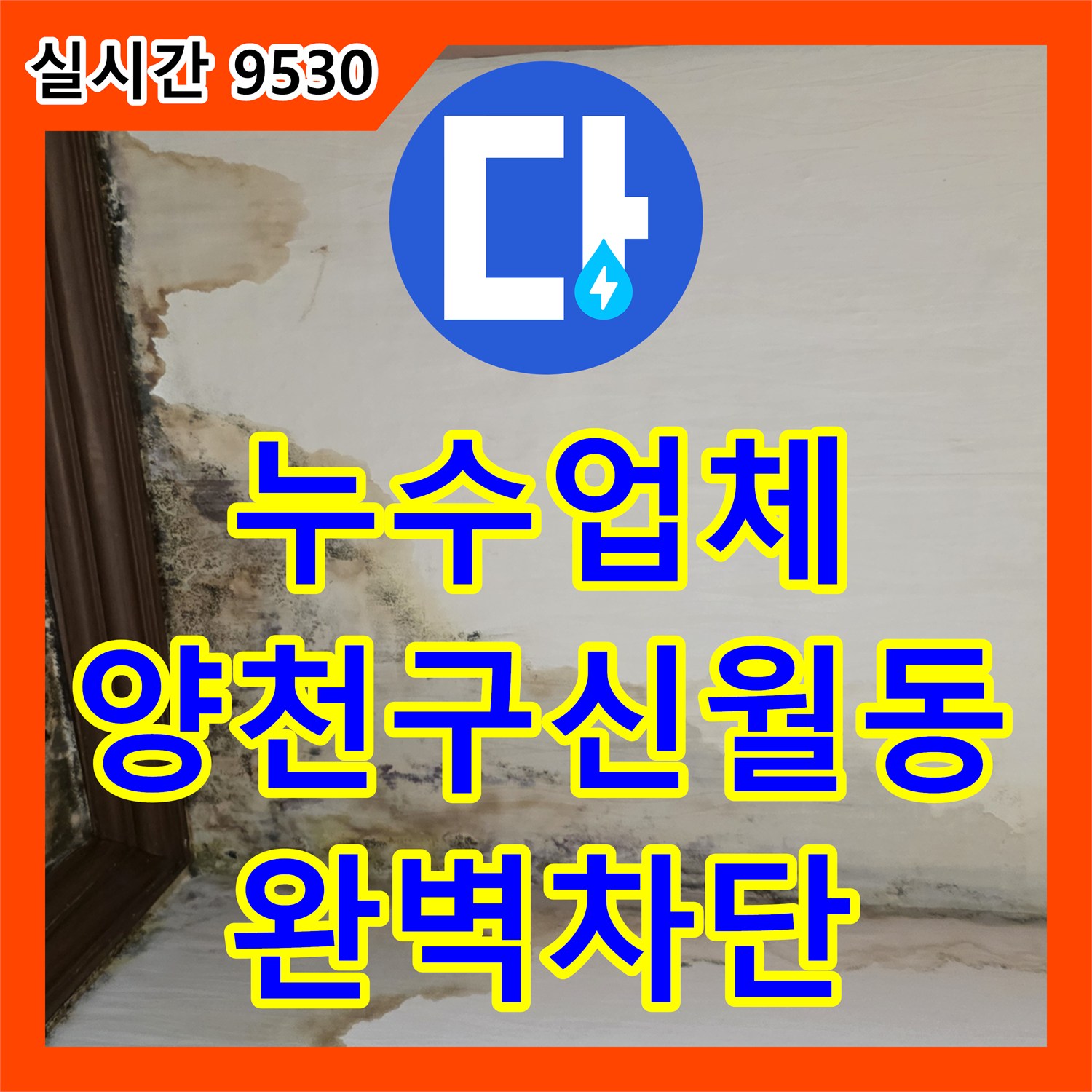 누수업체 천장과 벽면의 심한 곰팡이와 부식을 유발한 누수 지점을 찾아 해결한 서울 양천구 신월동 현장