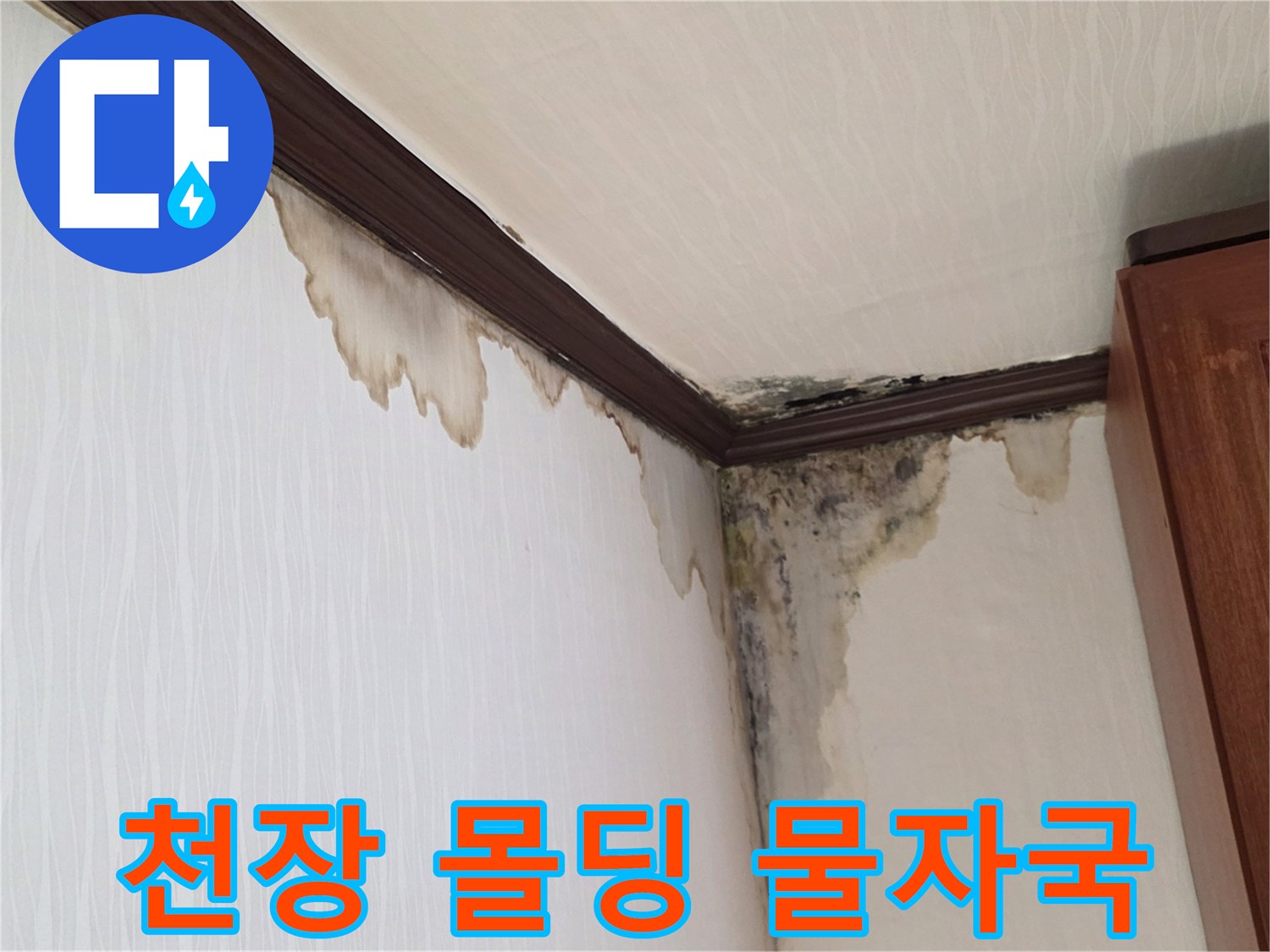 양천구 신월동 아파트 천장 몰딩 부근의 누수 흔적과 곰팡이 발생 상태