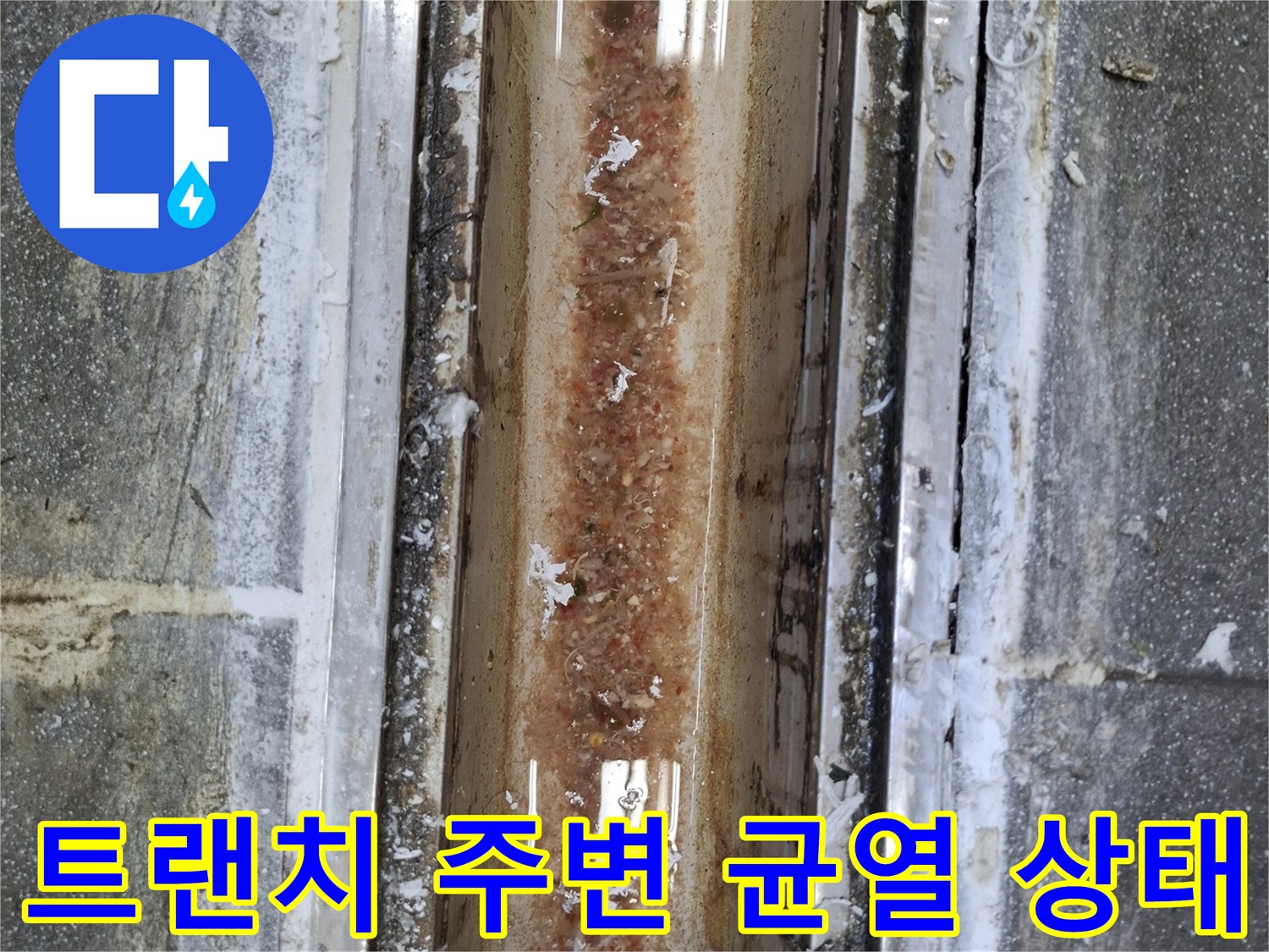 배수구-주변-타일-사이의-균열과-오염된-이물질