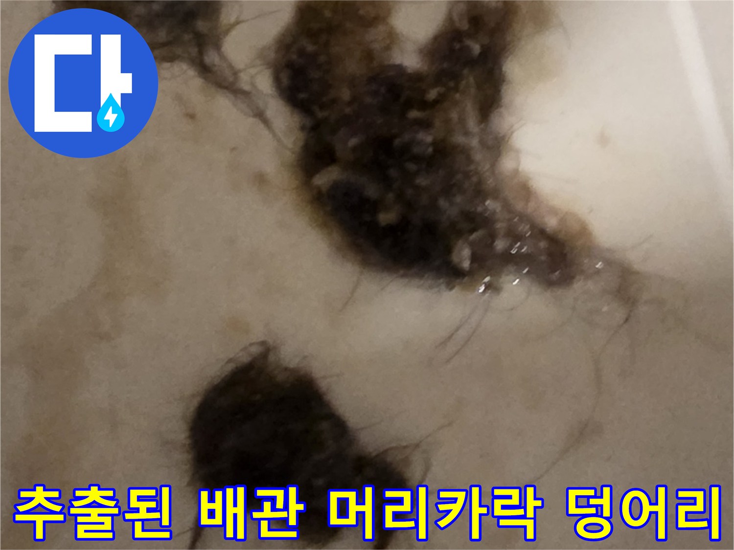 막힌-배관에서-끌어올린-머리카락-찌꺼기