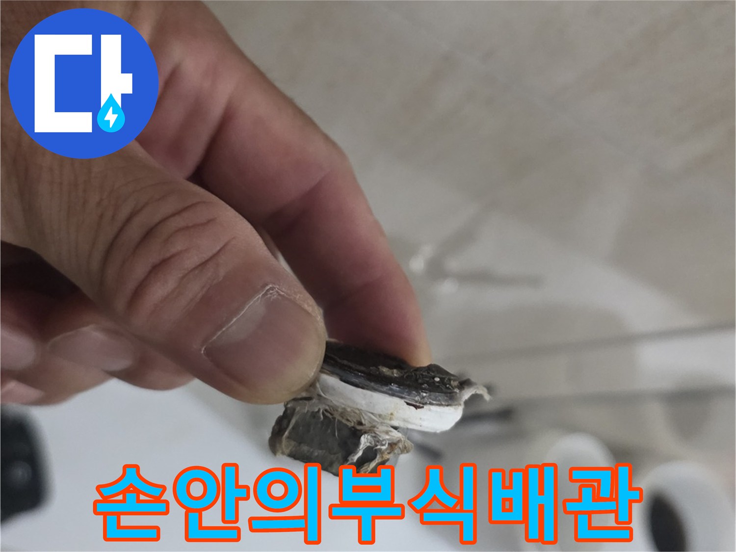 배관-교체를-위해-잘라낸-훼손된-부분