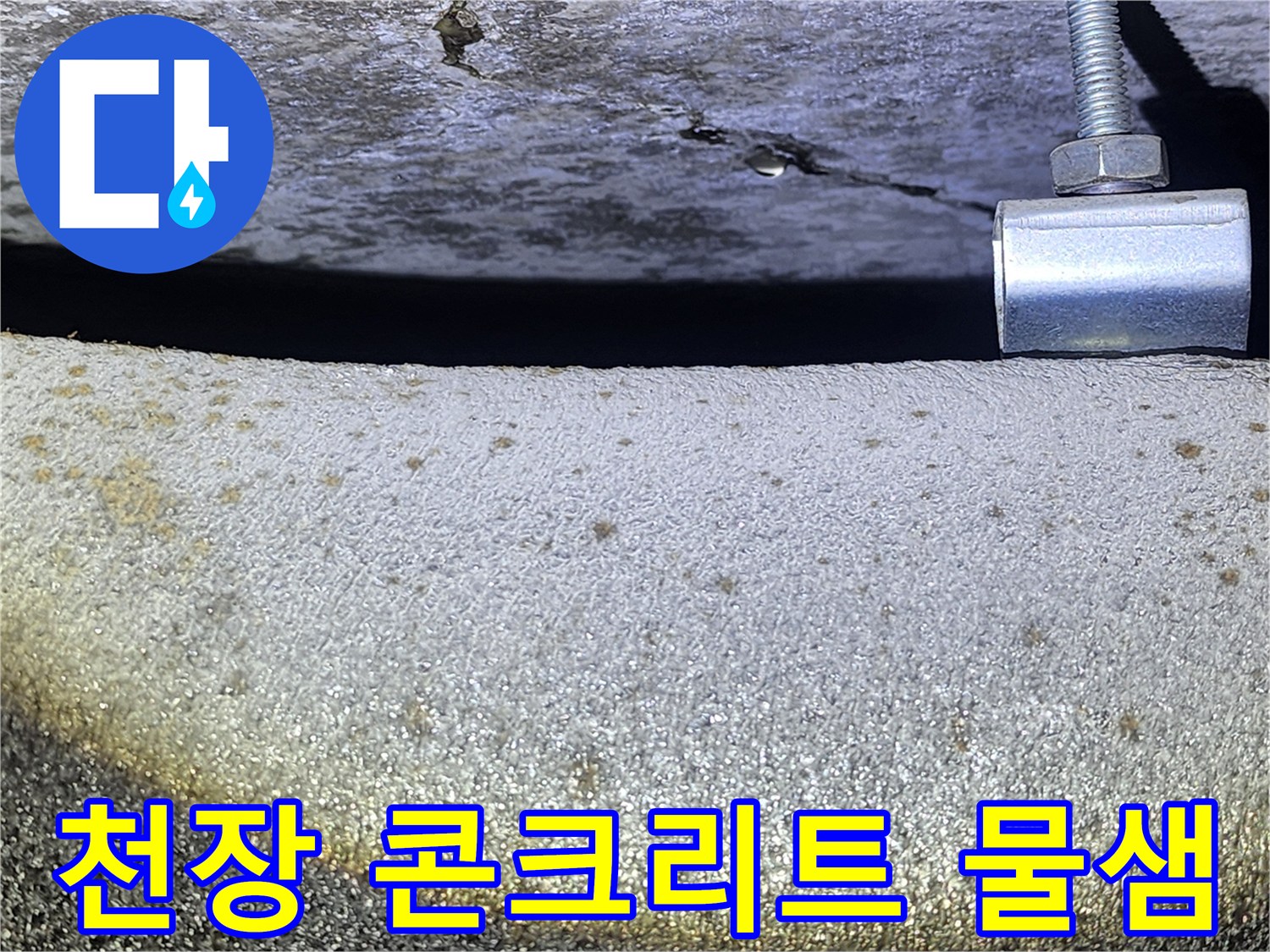 습기를 머금어 어둡게 변한 천장 슬래브 면적