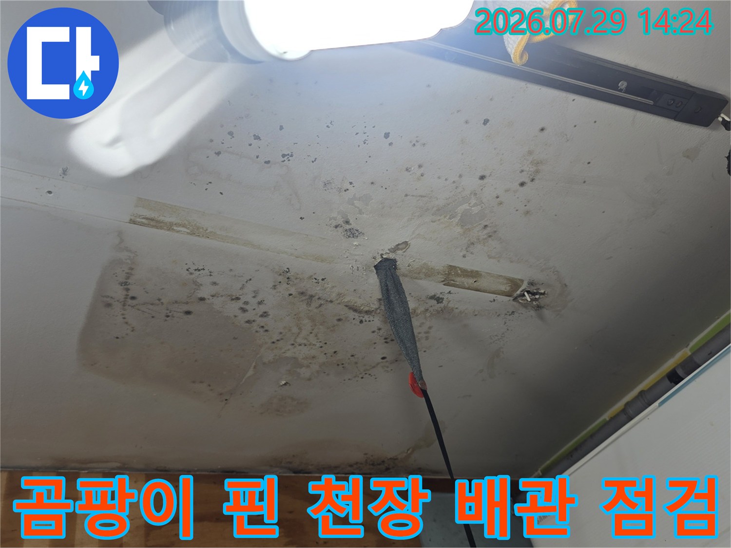 곰팡이와 물자국으로 오염된 천장 내 노출 배관 점검