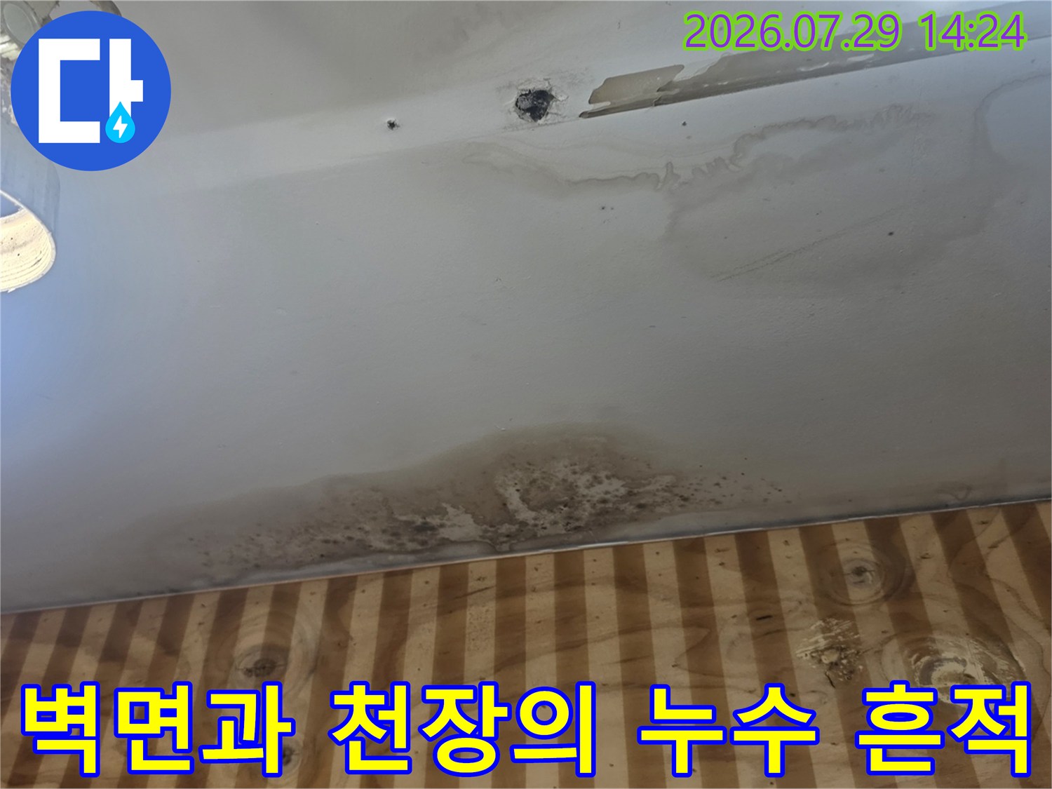 천장 마감재에 발생한 누수 얼룩과 습기로 인한 변색 부위 촬영