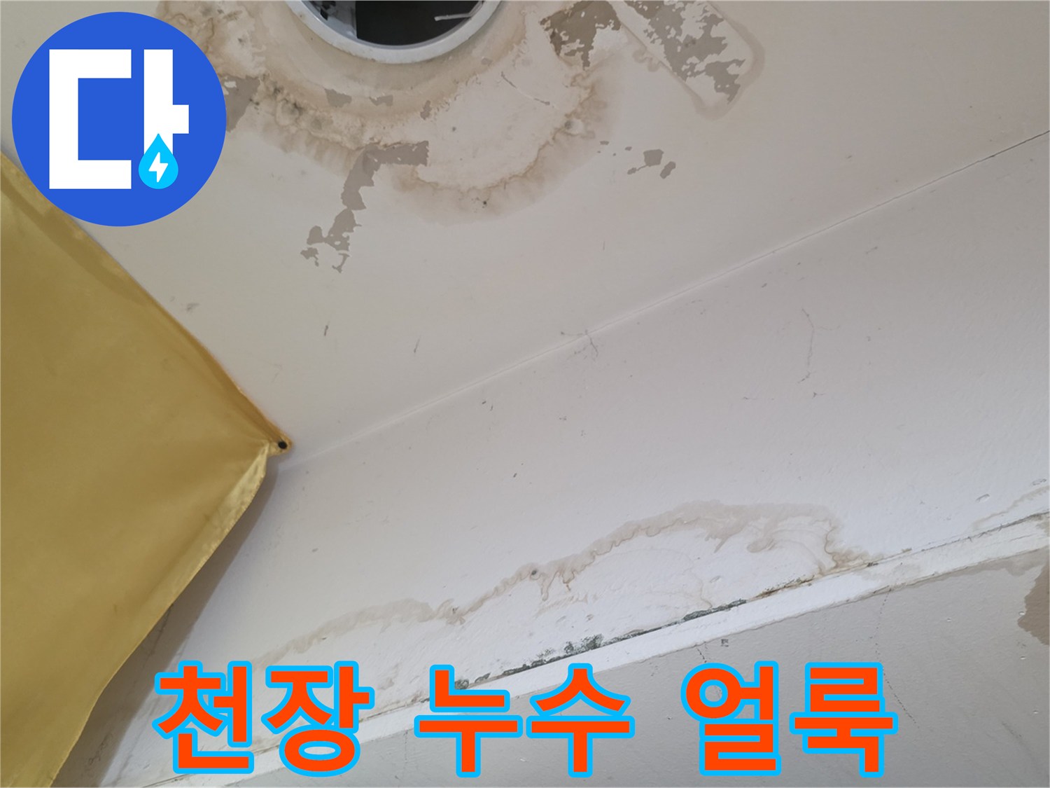 천장 조명 주변-갈색으로 변한 누수 흔적과 젖은 벽지