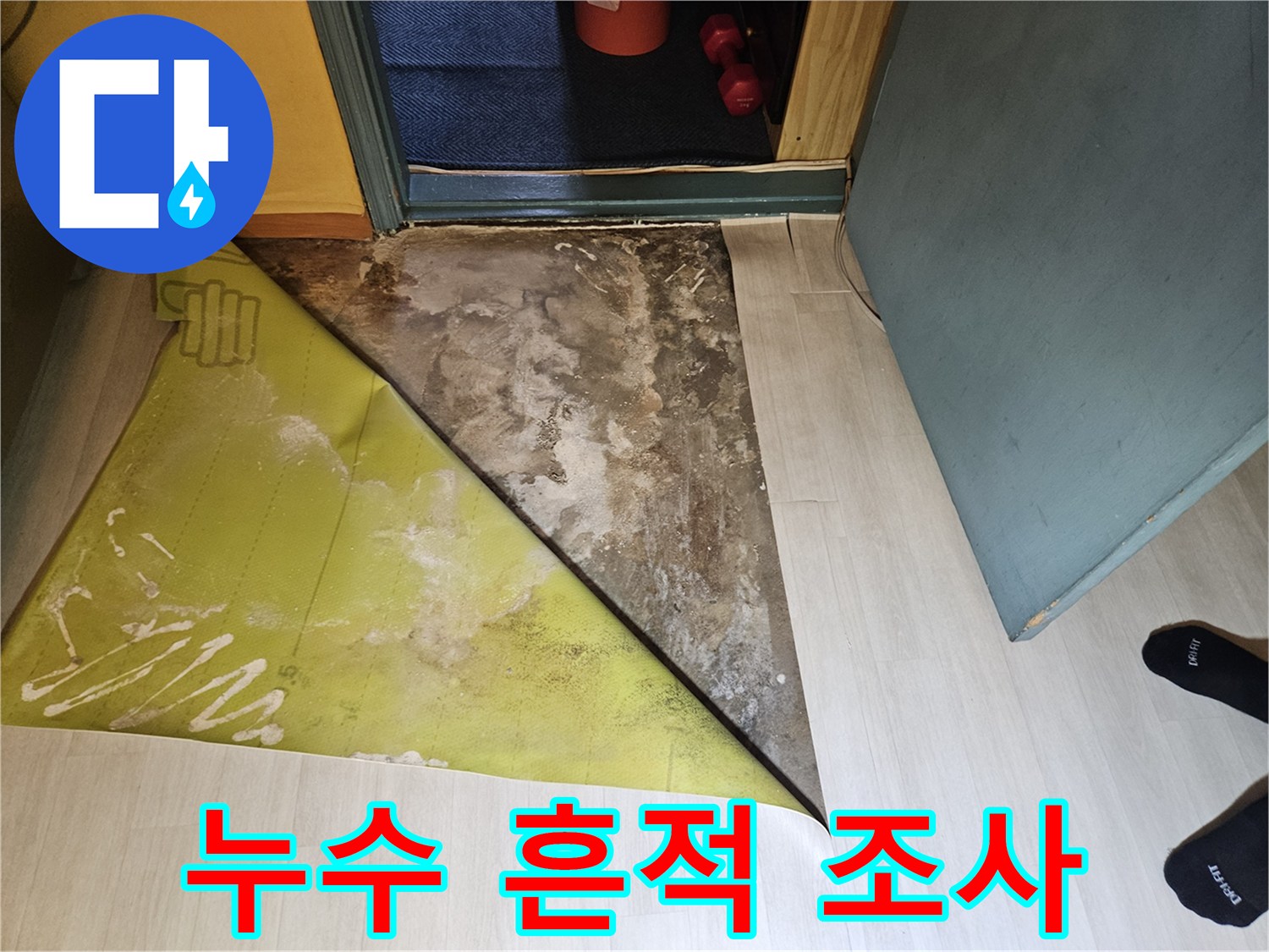 벽지 들춰낸 내부의 물자국과 습기