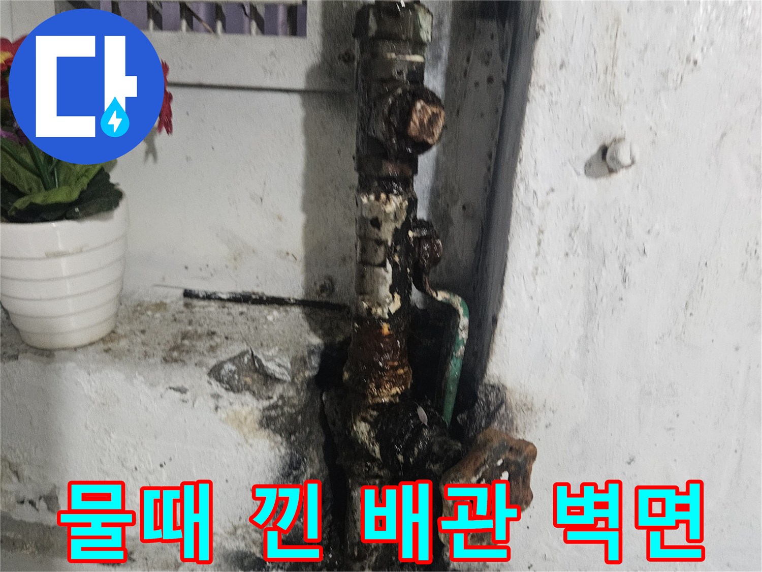 검은 물때와 오염이 발생한 배수 배관 부위