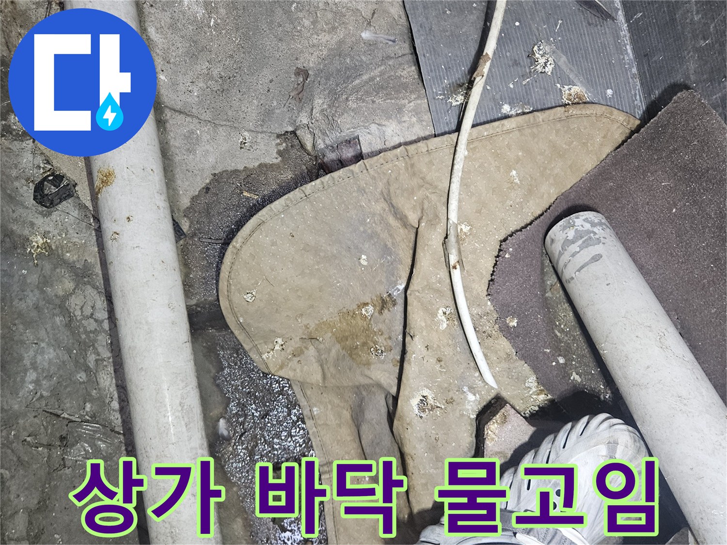 물기가 스며든 틈새와 젖은 타일 주변의 상태